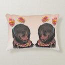 Search for black lab christmas cushions Puppy