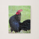 Search for rooster puzzles Animal