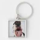 Search for purebred key rings Domestic animals