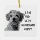 Search for quotes pet memorials Dogs