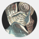 Search for shell collection stickers Shells