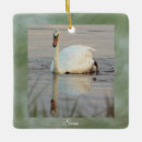 Search for swan christmas tree decorations Birds