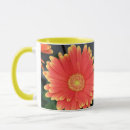 Search for gerbera mugs Photography