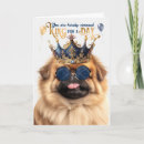 Search for pekingese dog cards Dogs