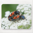 Search for mouse mate mousepads Mating