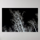 Search for sentinel posters Nature