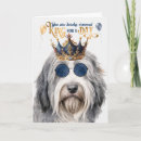 Search for bearded collie Pets