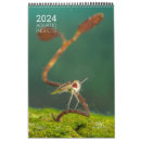 Search for insect calendars Macro