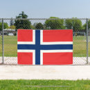 Search for norwegian flag posters Scandinavia