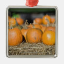 Search for outdoor christmas tree decorations Yellow
