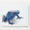Search for dart frog electronics Amphibian