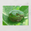 Search for day frog postcards Green