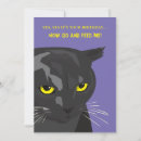 Search for cat meme invitations Kitty