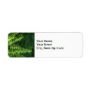 Search for fern leaves return address labels Nature