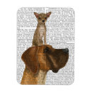 Search for great dane magnets Animals