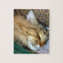 Search for maine coon cat puzzles Tabby