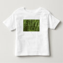 Search for rainforests tshirts Green