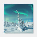 Search for spruce tree magnets Ice