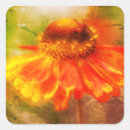 Search for zinnia flower stickers Floral