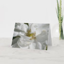 Search for rosa cards Nature