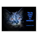 Search for american shorthair tabby postcards Feline