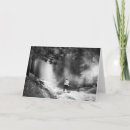 Search for fog cards White