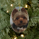 Search for yorkie pet memorials Terrier