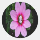 Search for cameo stickers Antique