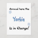 Search for yorkshire postcards Terrier