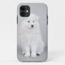 Search for samoyeds iphone cases White