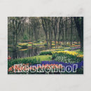 Search for keukenhof Tulips