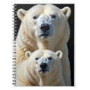 Search for polar bear notebooks Nature