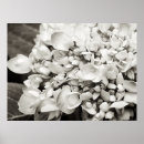 Search for extra large posters Black and white