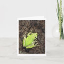 Search for tree frogs cards Illustration
