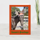 Search for equine christmas cards Merry