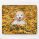 Search for mixed mousepads Animal