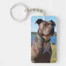 Search for a dog nose key rings Pitbull