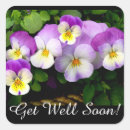 Search for pretty pansy stickers Pansies