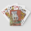 Search for koala playing cards Wildlife