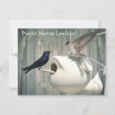 Search for bird watching postcards Nature
