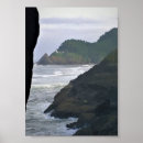 Search for lion head posters Nature