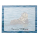 Search for otter gifts Pacific ocean