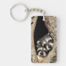 Search for raccoon key rings Cute