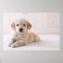 Search for lying down posters Horizontal