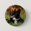 Search for bordered image badges Lying down