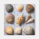 Search for backdrop magnets Blue
