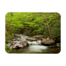 Search for smokey mountain magnets Tree