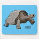 Search for galapagos mousepads Tortoise