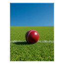 Search for cricket ball art Red