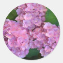 Search for pastel flowers stickers Pink